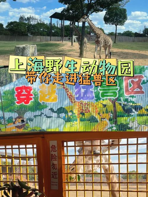 疯狂动物园攻略:解锁动物刷取秘籍,畅享无限乐趣