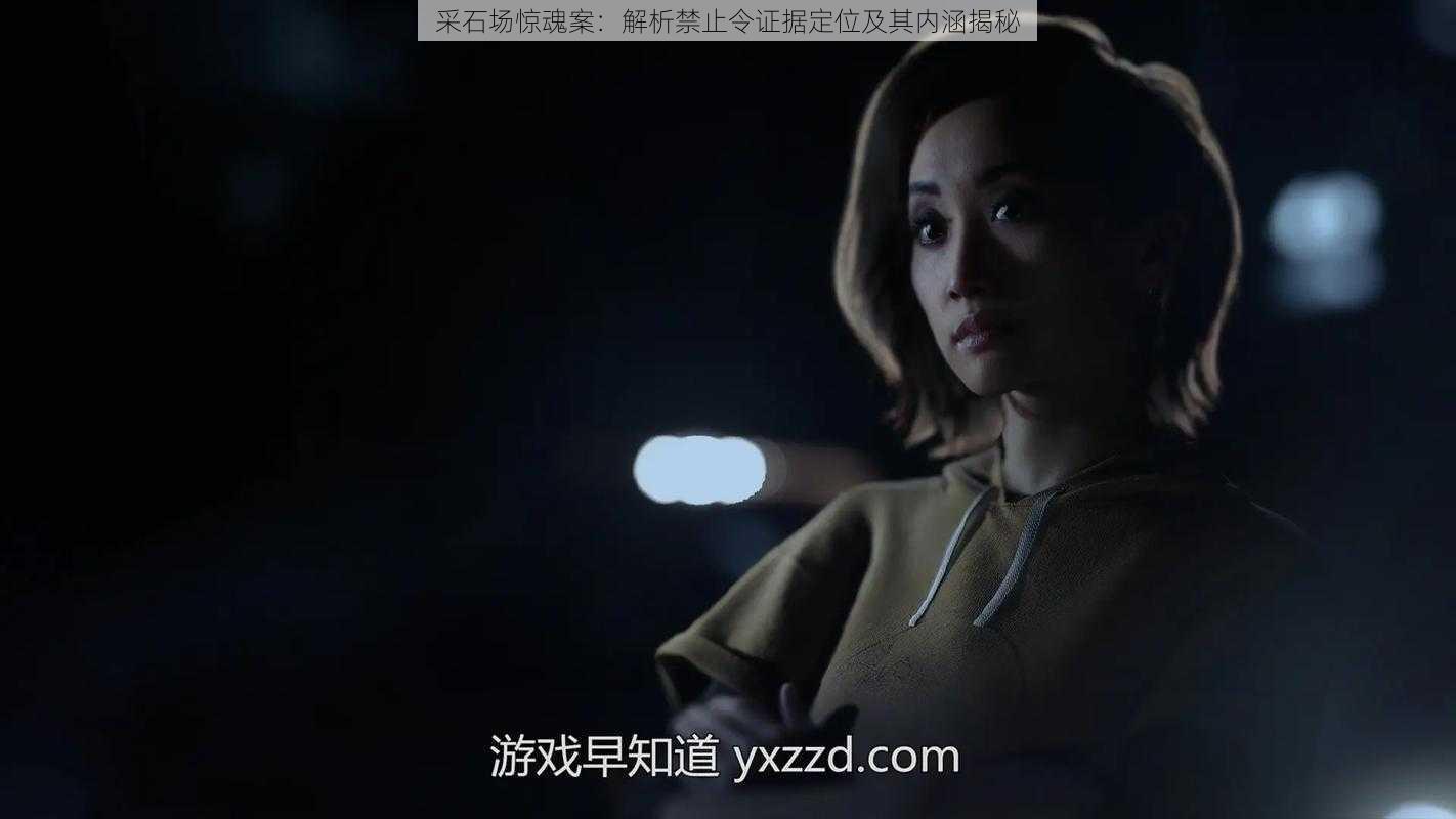 采石场惊魂案:解析禁止令证据定位及其内涵揭秘