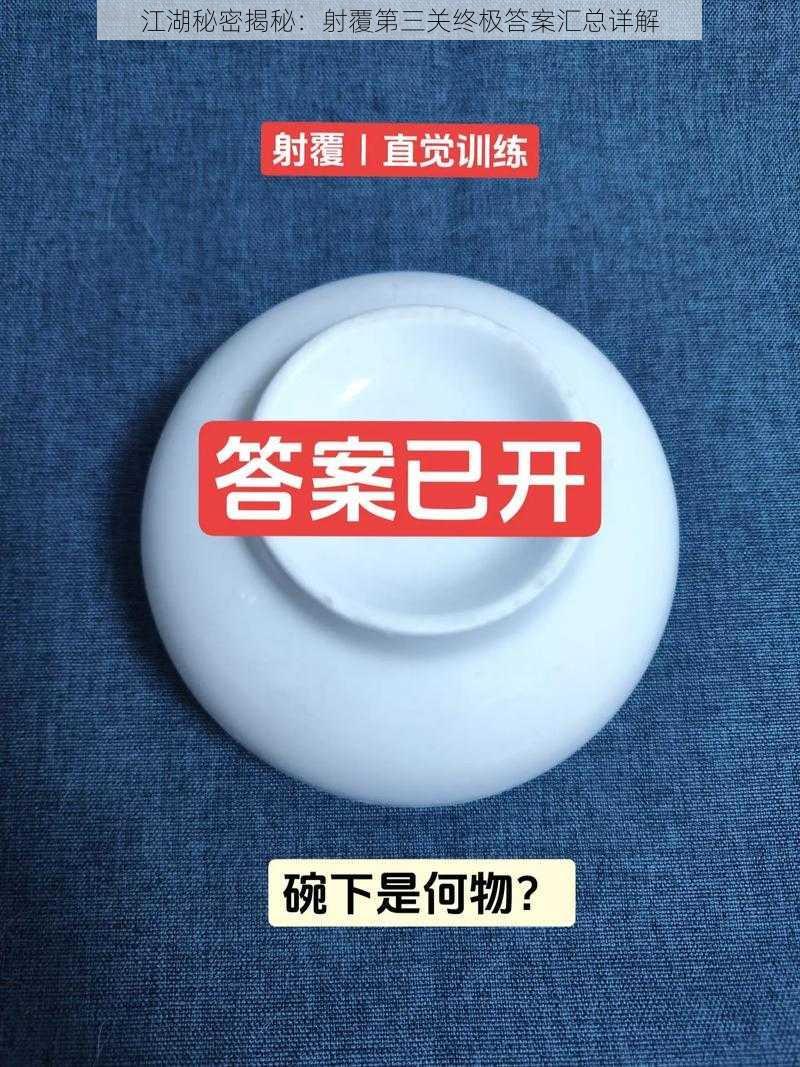江湖秘密揭秘:射覆第三关终极答案汇总详解