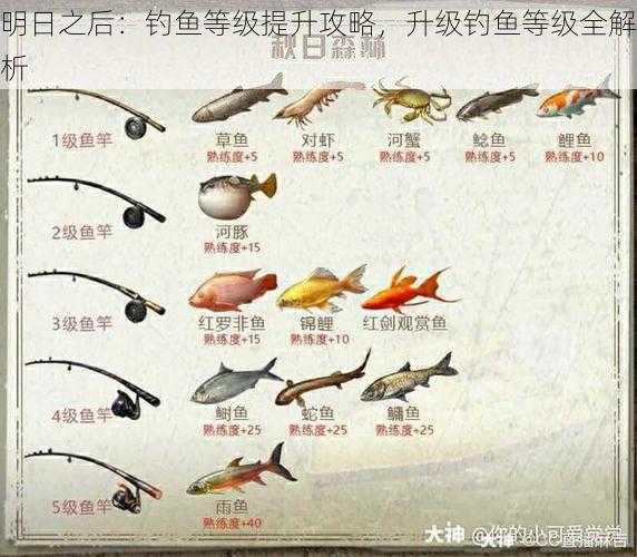 明日之后:钓鱼等级提升攻略,升级钓鱼等级全解析